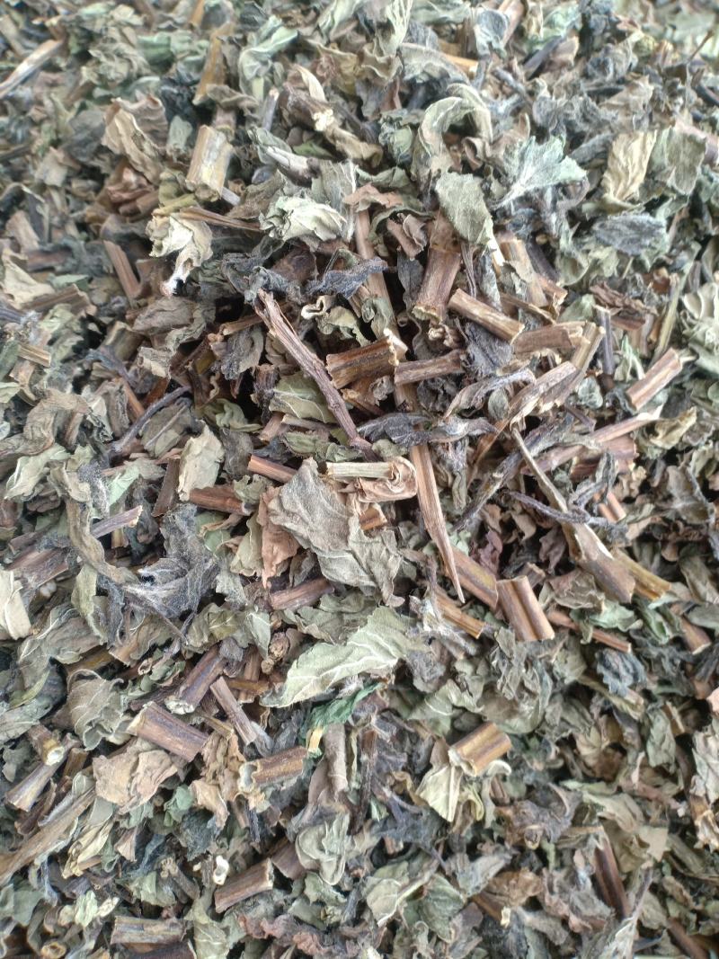 薄荷新货货干味大产地山东有现货实拍24小时发货