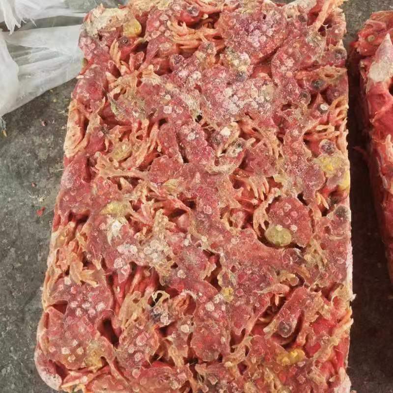 脱毛小鸡仔