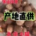 8520毛芋头口感软糯价格合理产地直发、全年供应