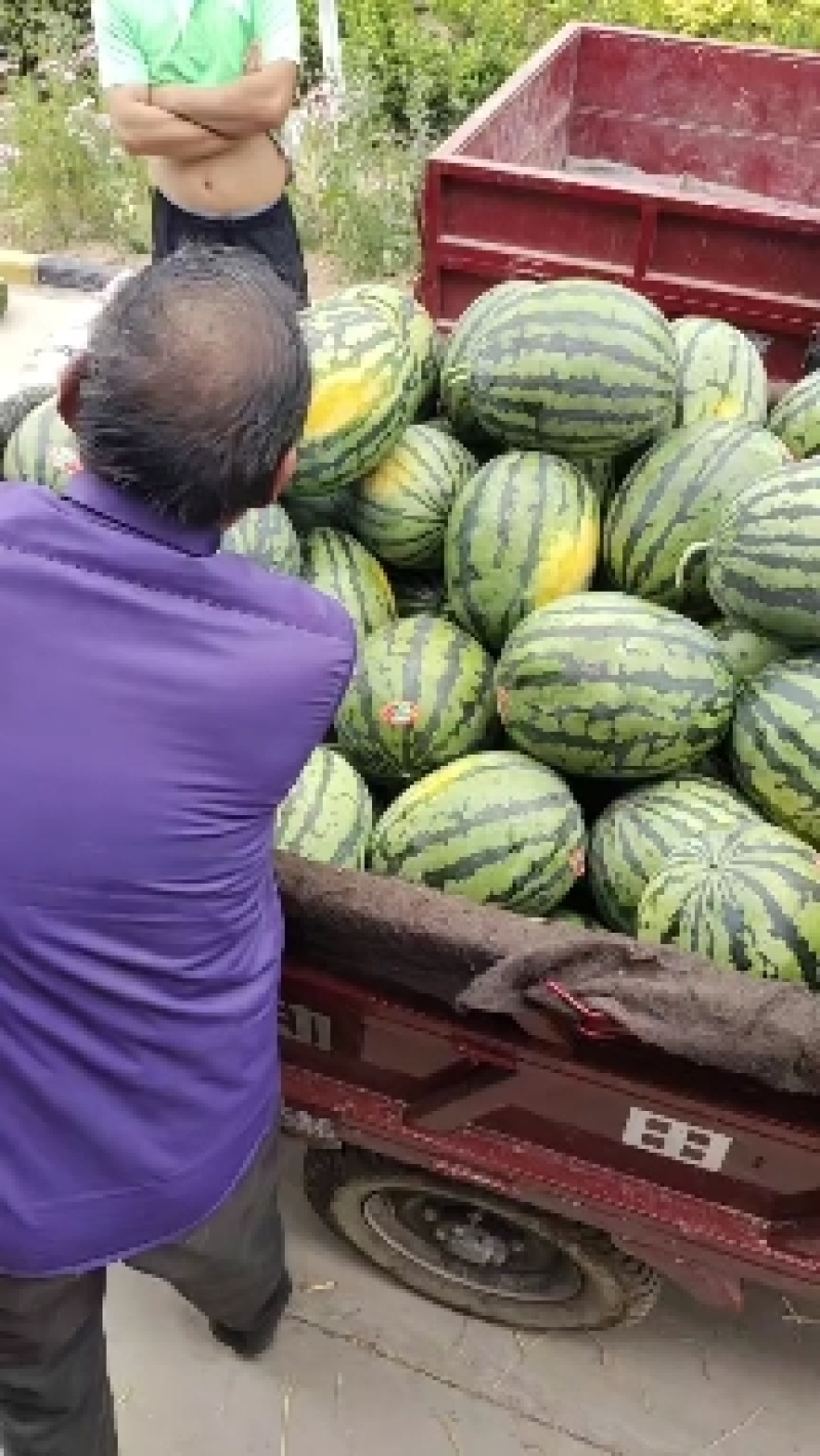 陕西品质甜王，个大皮薄，现摘现发，供应全国各大市场，电商