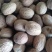 肉蔻，豆肉蔻新货，无虫驻个大，有现货实拍，24小时发货
