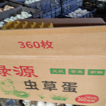 虫草蛋