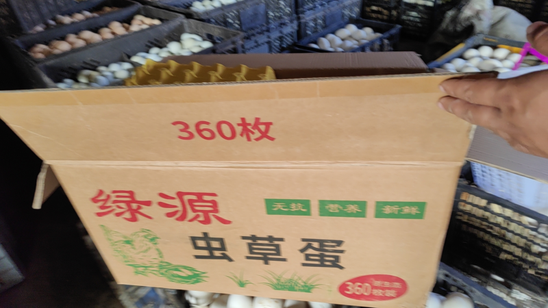 虫草蛋