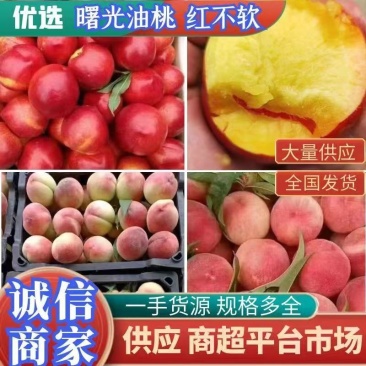 湖北毛桃春雪/突围/红不软/美脆/蜜桃等多个品种大量上市