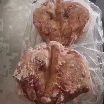 无耳猪头