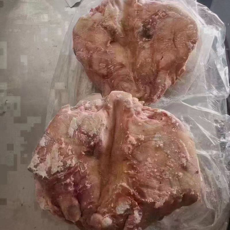 无耳猪头