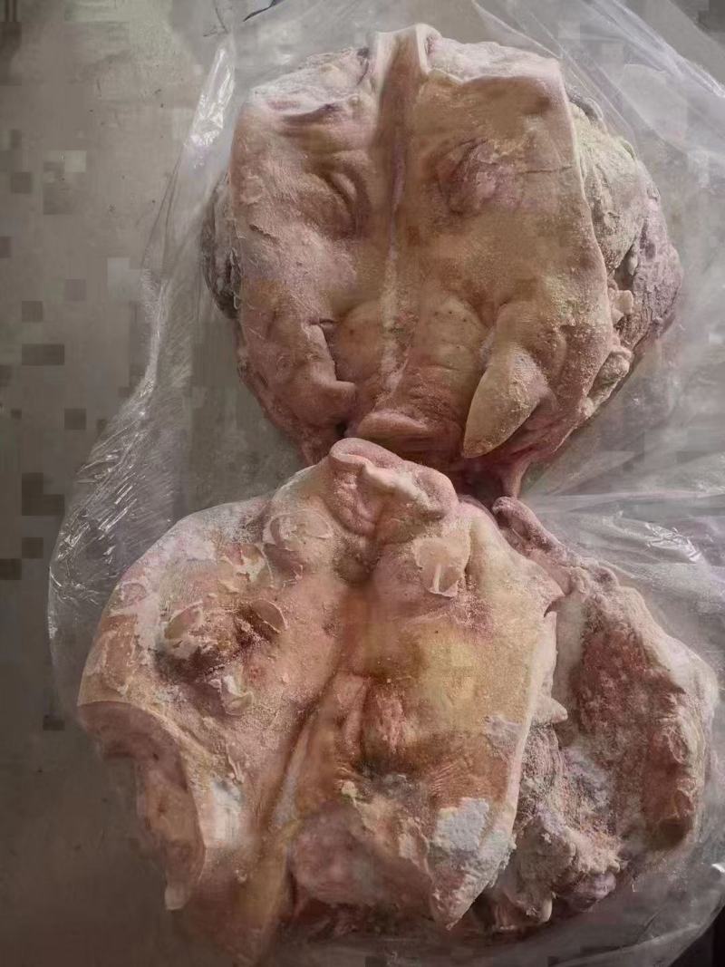 无耳猪头