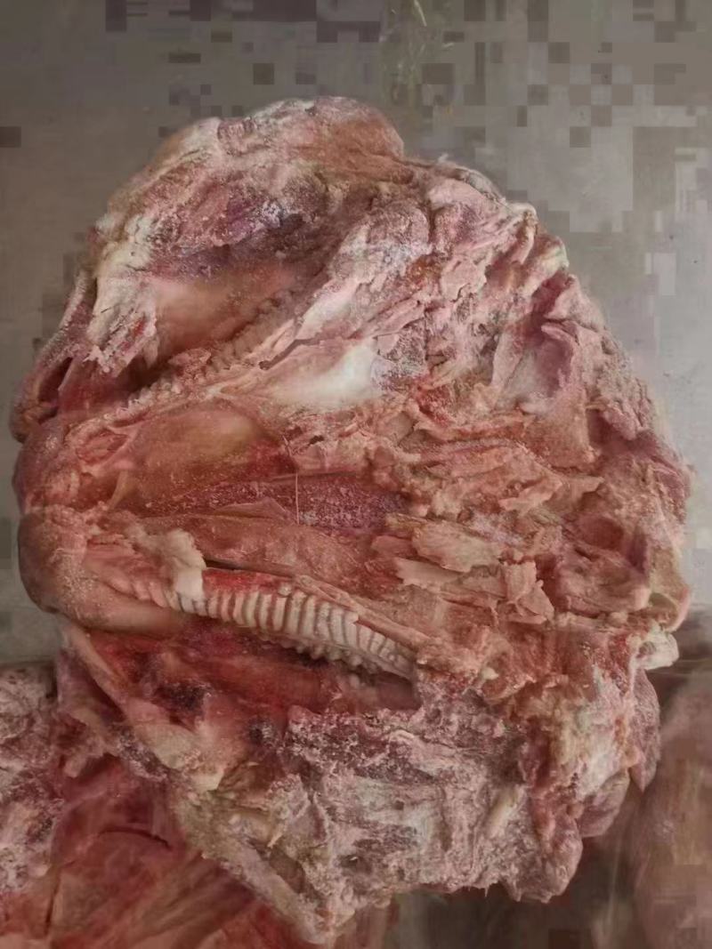 无耳猪头
