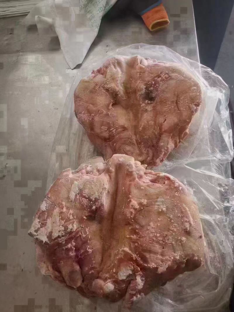 无耳猪头