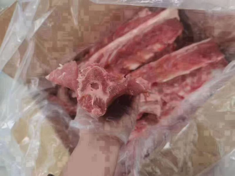 羊蝎子