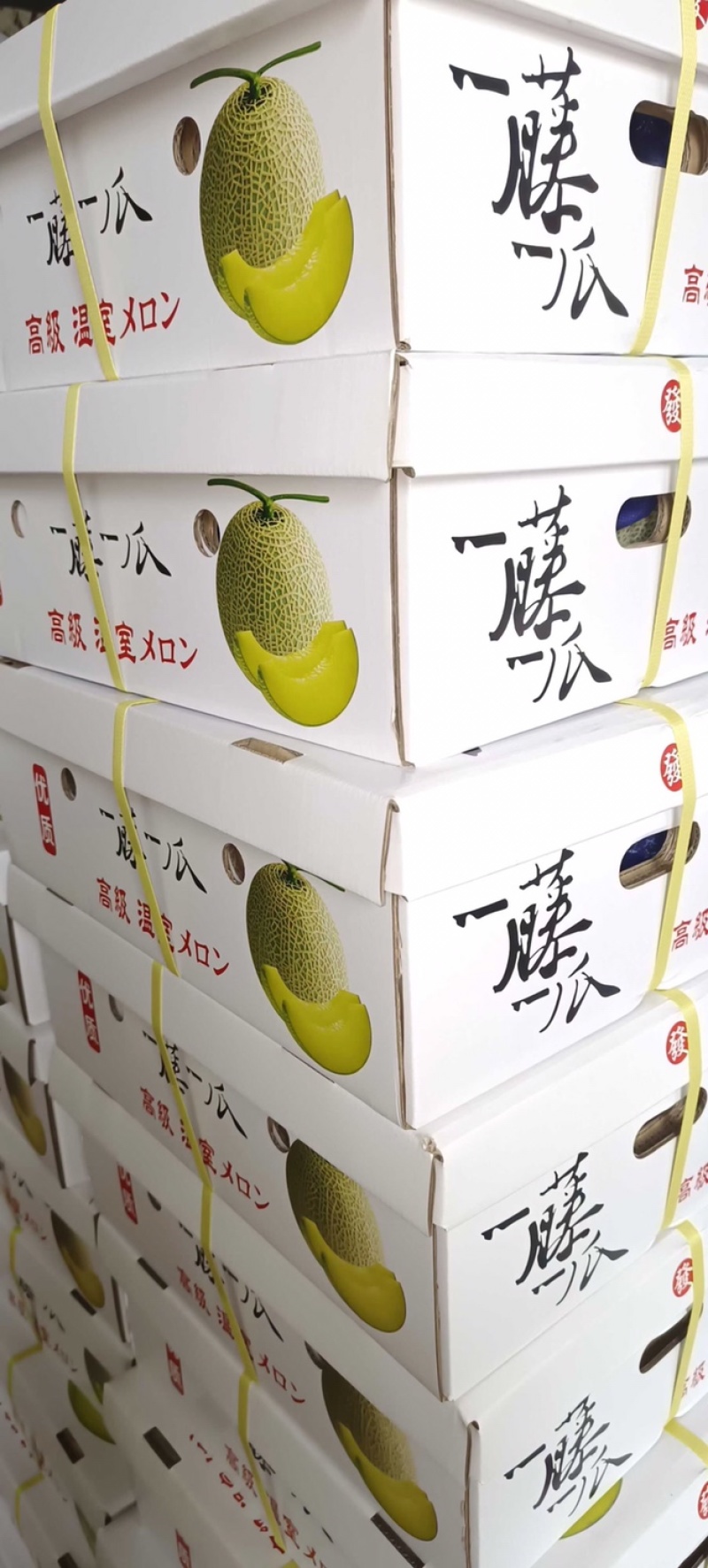 山东甜瓜美华玫珑网纹甜瓜鲁厚甜种植产地麻纹好看棚定货
