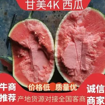 湖北甘美4k西瓜皮薄肉甜量大从优视频看货诚信合作
