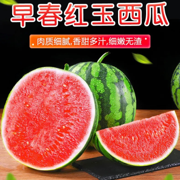 早春红玉西瓜，产地直发，保质保量，甜美可口，大量上市