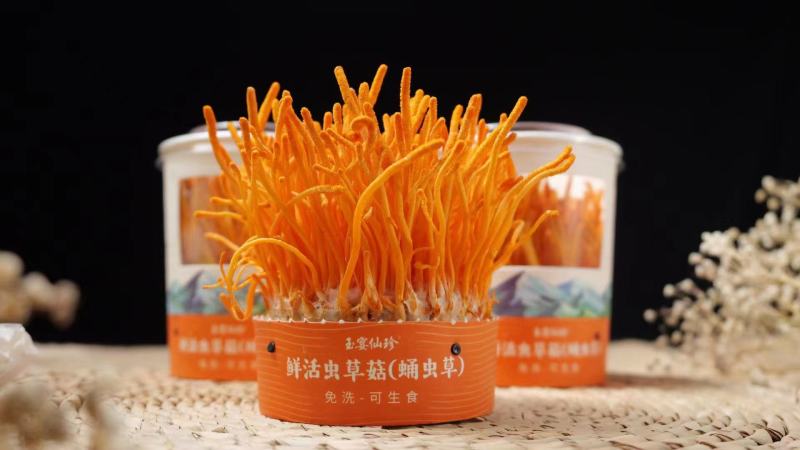 虫草花，煲汤、炖汤材料，鲜品非干货，口感好!不上火