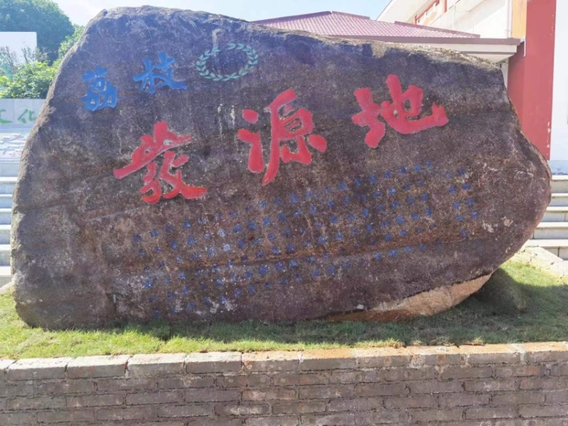 廉江荔枝妃子笑香甜可口当季新鲜水果果园直供/量大