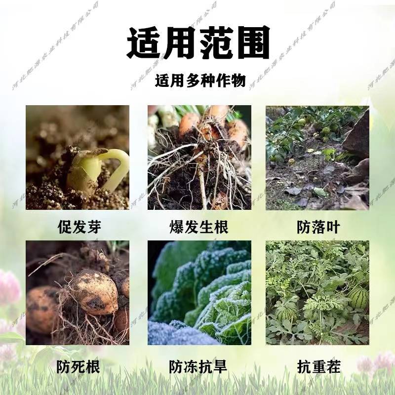 （热）微量元素水溶肥，全水溶无杂质，补充作物所需微量元素