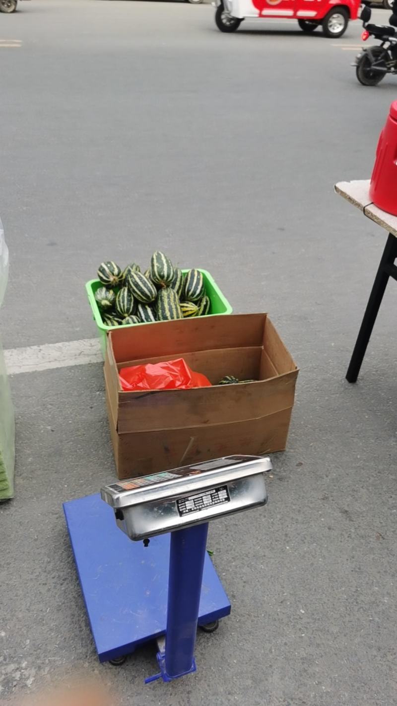 精品甜瓜