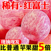 【包邮-10斤苹果】热销10斤陕西洛川红富士苹果