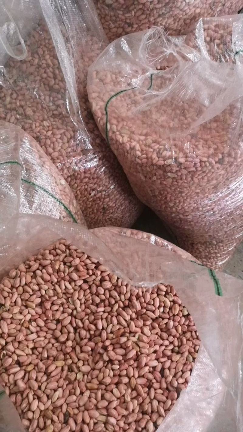 鲁花花生米，油料米价格。品种齐全，保质保量。