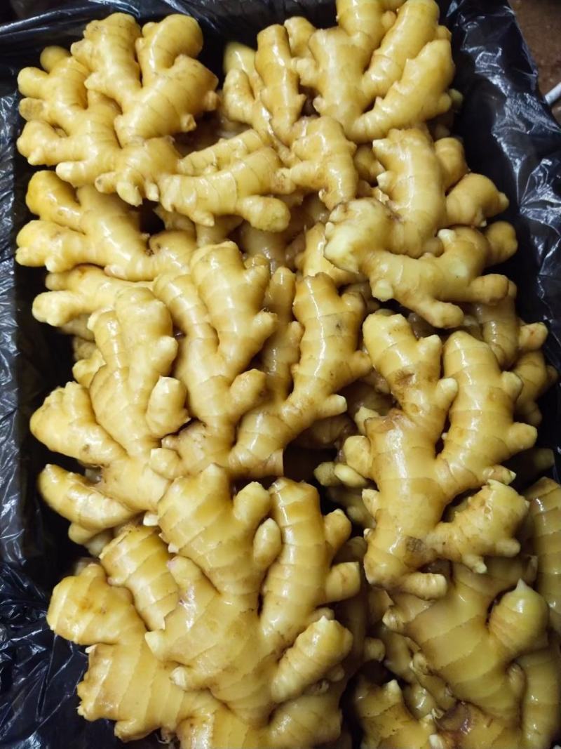 [热卖]山东临沂小黄姜一手货源保质保量，原产地