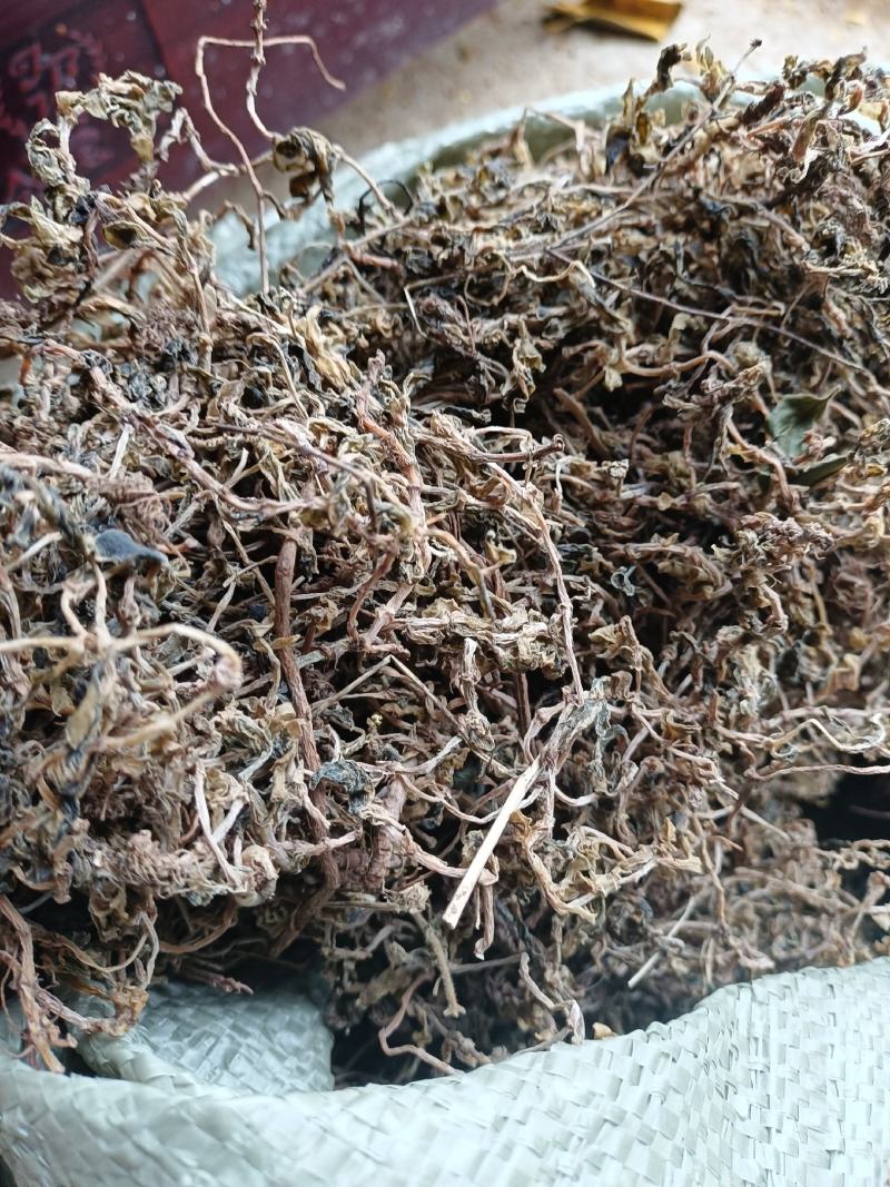 垂盆草