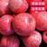 【精品优质苹果】红富士苹果产地直销，货源充足，量大优惠