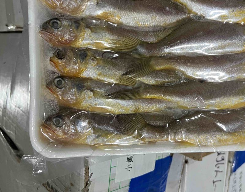 小黄鱼一包一斤一包10条一件20斤
