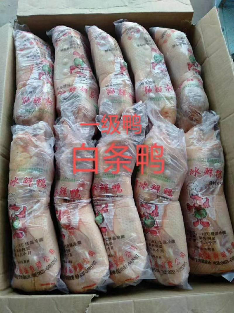 白条鸭