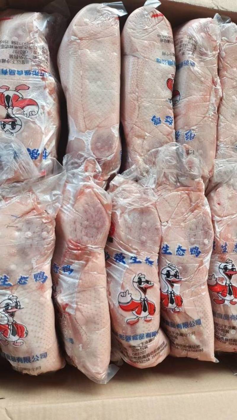白条鸭