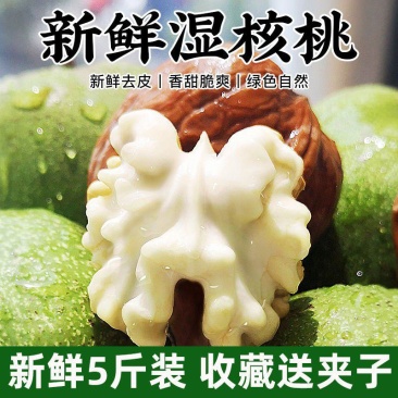 2025年大凉山露天野生新鲜核桃电商一件代发社区团购