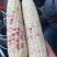 【推荐】四川精品花糯玉米万亩基地大量上市货源充足