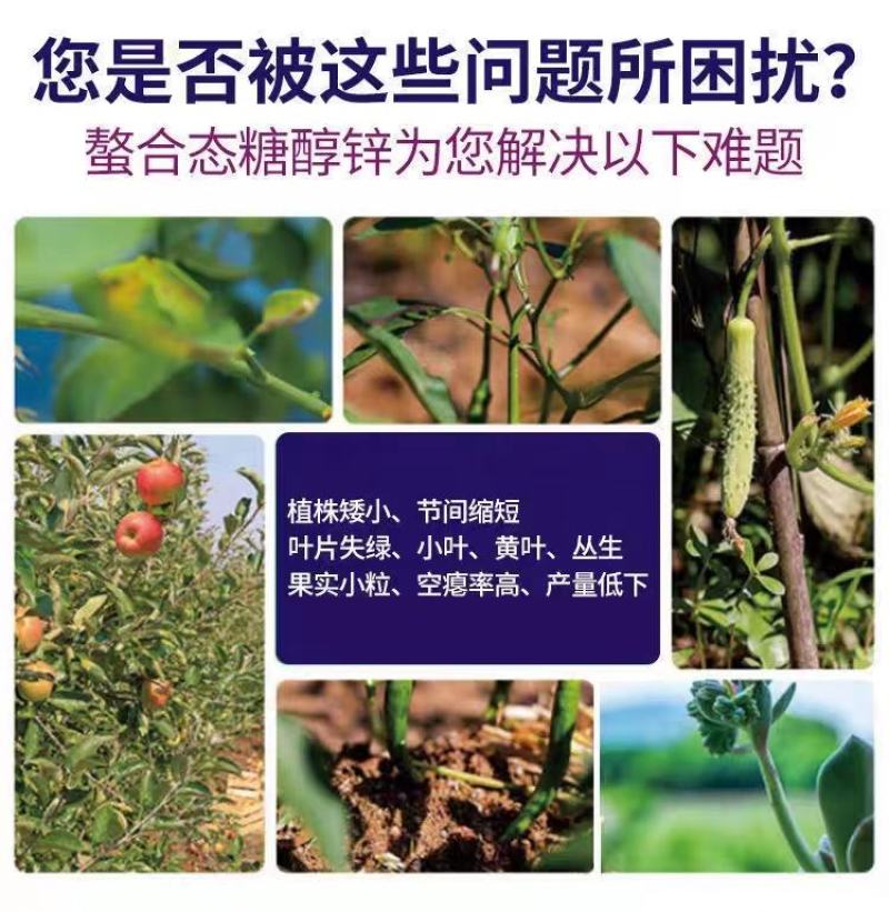 流体硼叶面肥促进发芽分化促进花粉萌发单一元素