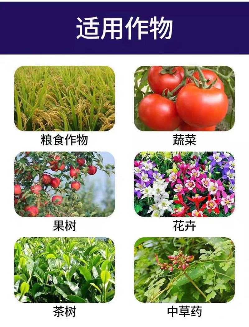 流体硼叶面肥促进发芽分化促进花粉萌发单一元素