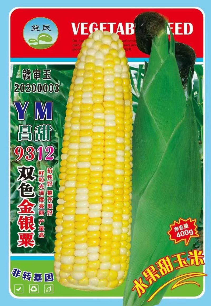 【牛商优选】玉米种子9312双色金银水果玉米种子玉米苗
