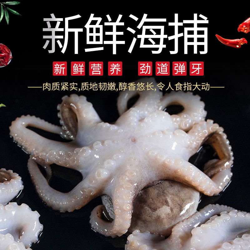 盐揉翻花八爪鱼去内脏迷你小八爪冷冻捞汁小海鲜