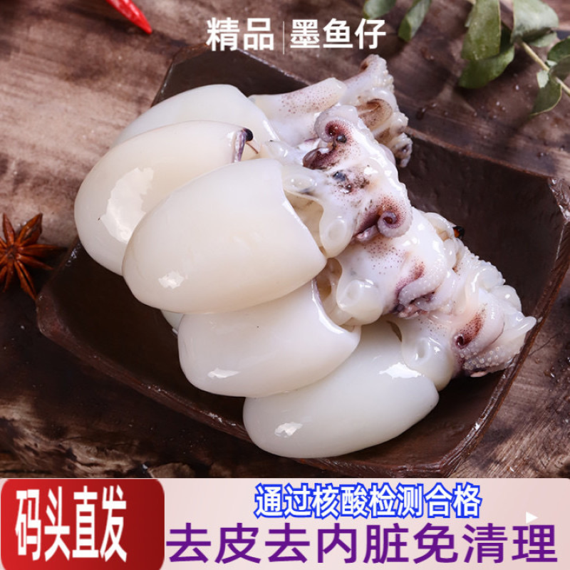 冷冻墨鱼仔去皮去内脏墨鱼鱿鱼仔