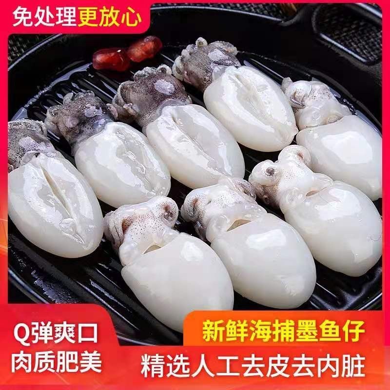 冷冻墨鱼仔去皮去内脏墨鱼鱿鱼仔
