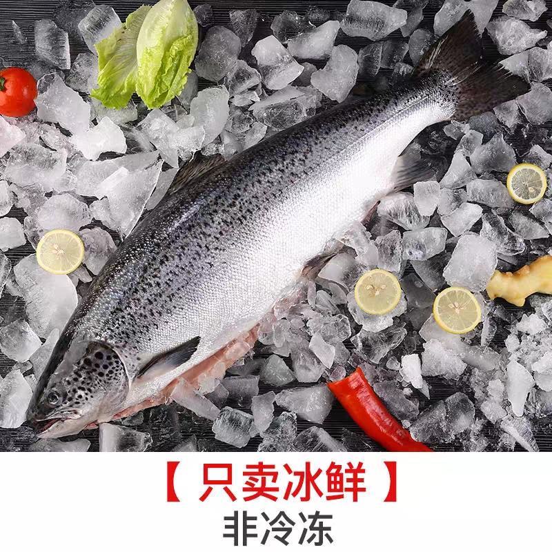 冰鲜三文鱼1到5斤斤新鲜整条进口三文鱼刺身