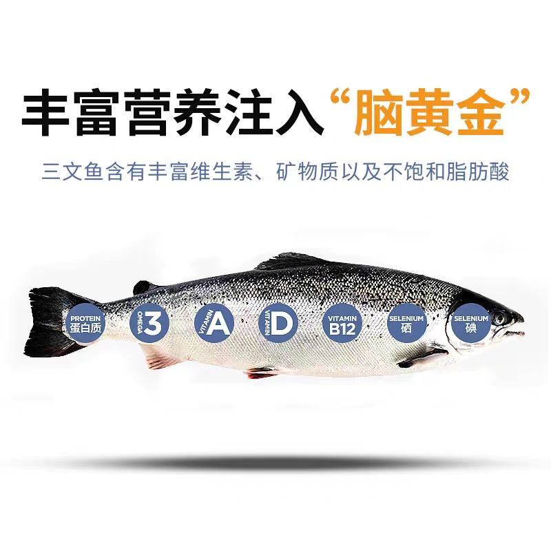 冰鲜三文鱼1到5斤斤新鲜整条进口三文鱼刺身