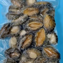 鲜冻鲍鱼肉500克去壳去内脏食材煲汤多用途量大从优