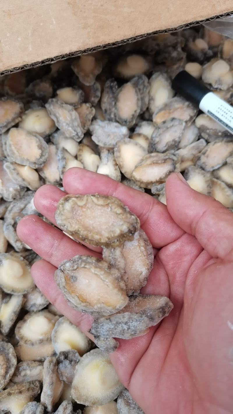 鲜冻鲍鱼肉500克去壳去内脏食材煲汤多用途量大从优