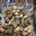 鲜冻鲍鱼肉500克去壳去内脏食材煲汤多用途量大从优