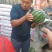 产地万亩大棚露天西瓜无籽有籽麒麟美都大量上市代收代发
