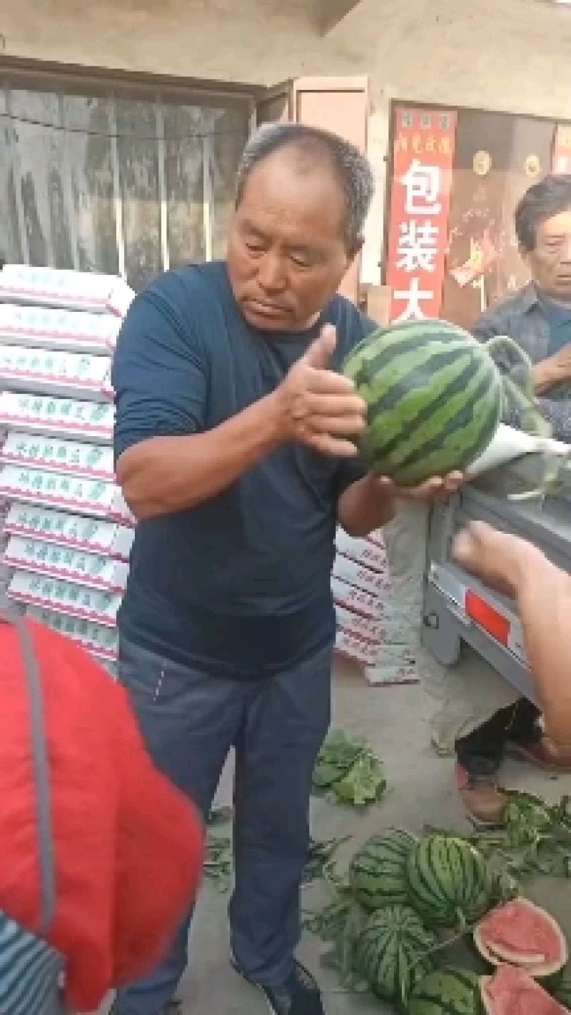 产地万亩大棚露天西瓜无籽有籽麒麟美都大量上市代收代发