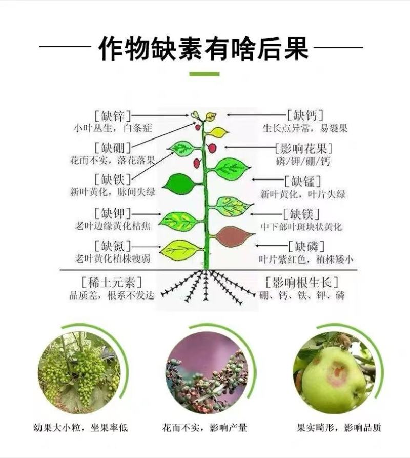 糖醇钾叶面肥单一元素快速补钾，提高成熟，增甜增色
