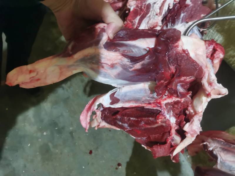 好货精选