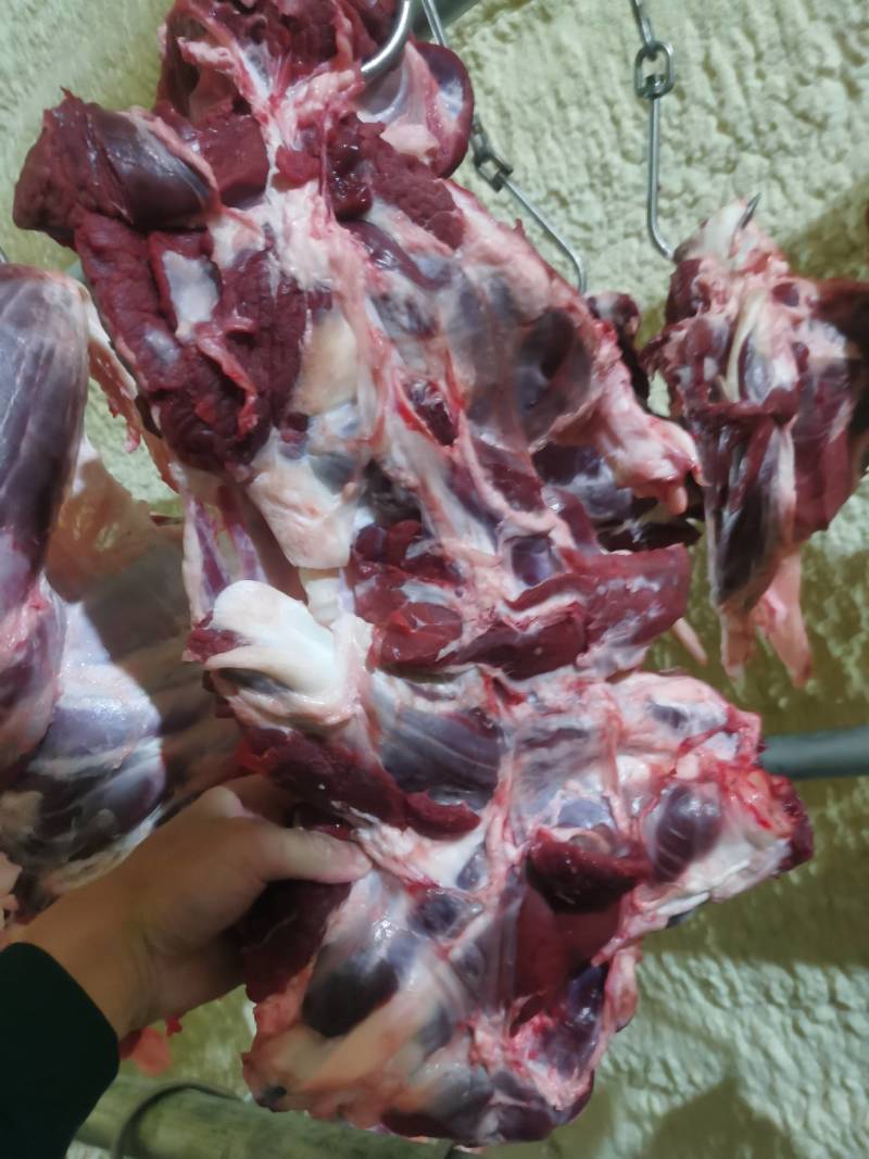 好货精选