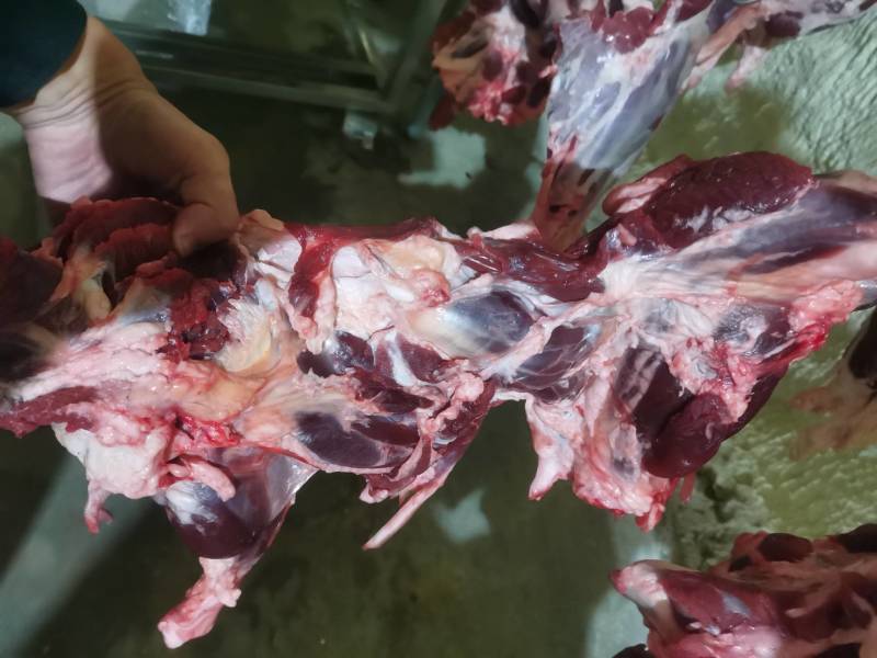 好货精选