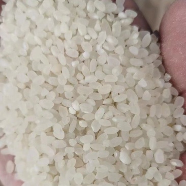陈米欢迎来电咨询