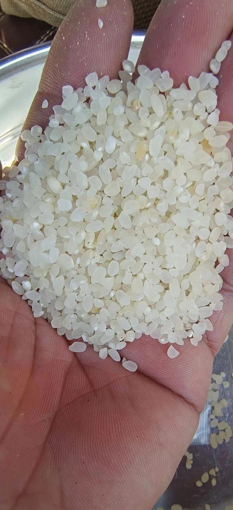 陈米欢迎来电咨询